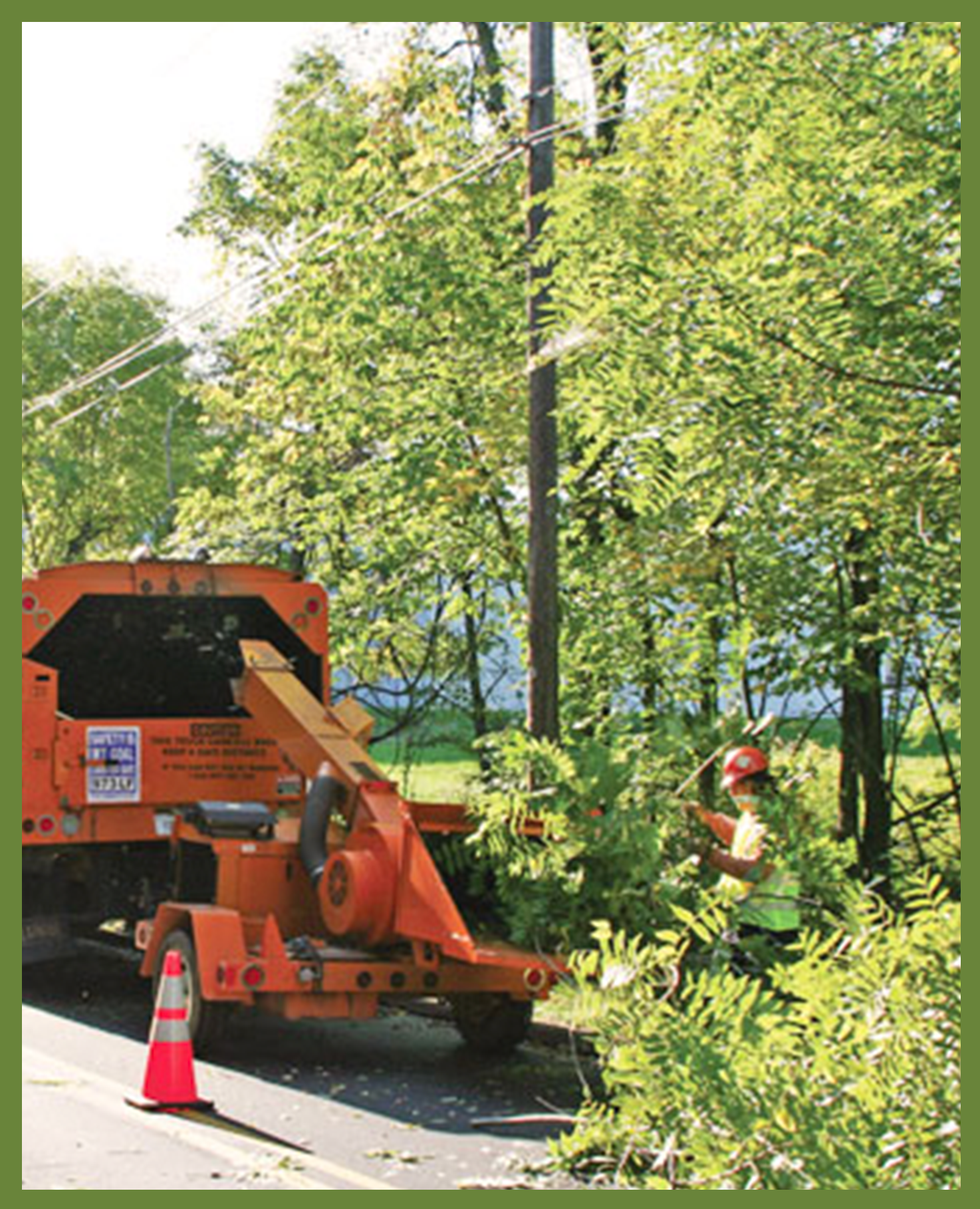 Pictured: An employee of Asplundh Tree Experts (one of the contractors that Sussex REC employs for tree trimming in its service territory) loads cut branches into a woodchipper.
