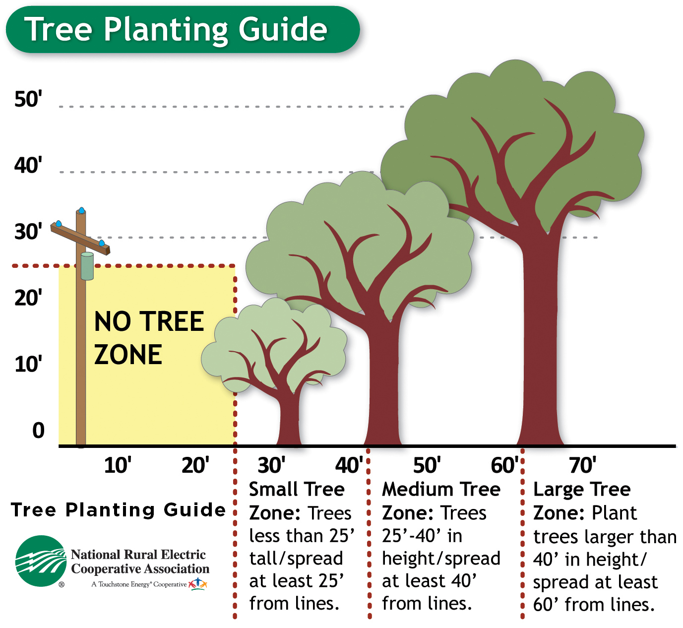 Tree Planting Guide. 0' to 25' from power lines - NO TREE ZONE. 30' to 40' from power lines - SmallTree Zone: Trees less than 25' tall/spread at least 25' from lines. 40' to 50' from power lines - Medium Tree Zone: Trees 25'-40' in height/spread at least 40' from lines. 60'+ from power lines - Large Tree Zone: Plant trees larger than 40' in height/spread at leas 60' from lines.
