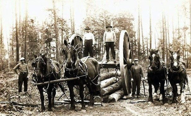 A group of workers using a horse-drawn carriage to haul wooden poles
