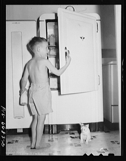 A young boy grabs milk for his kitten from his family’s new refrigerator, now available to them thanks to the electricity from his family’s rural electric cooperative