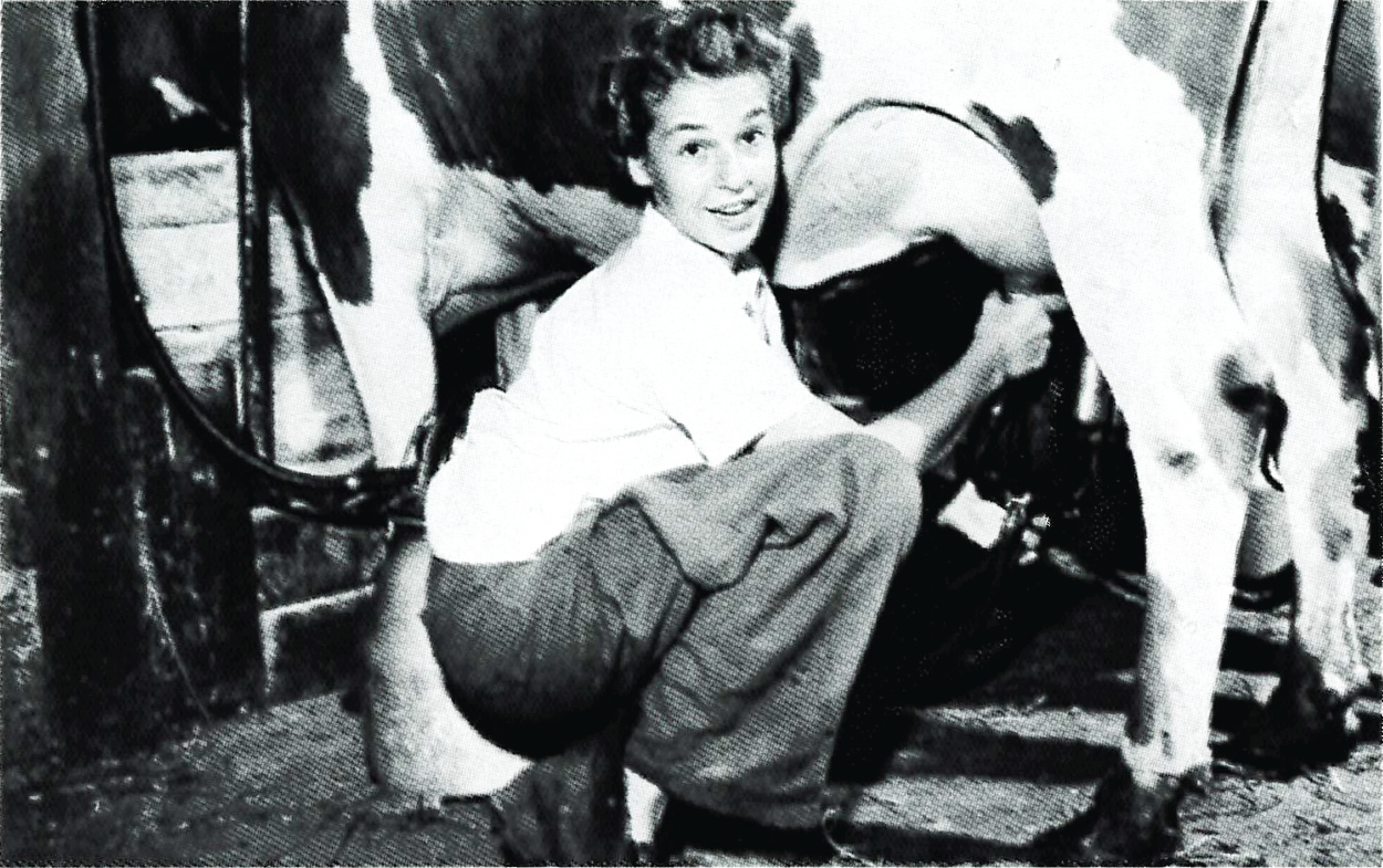 A girl milks a cow using an electric milk pump.