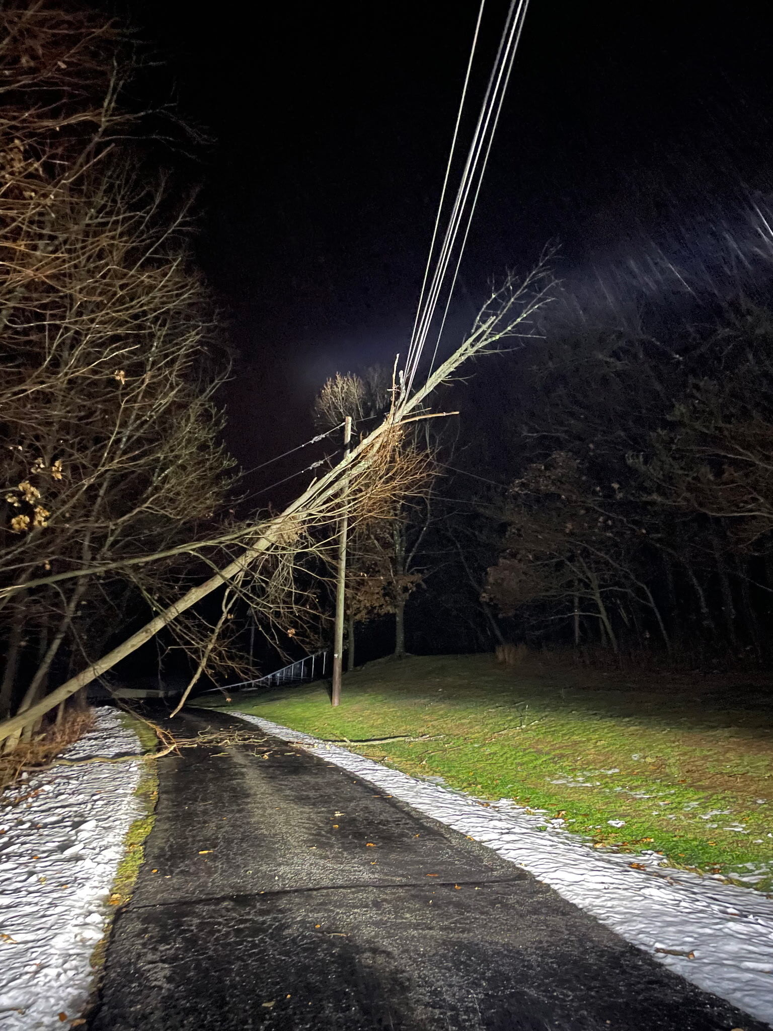 Tree leaning on power lines