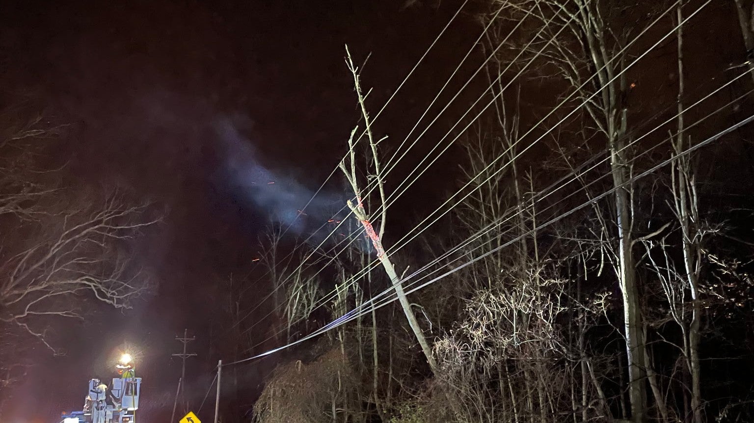 Photo of a large tree that's fallen against power lines, catching fire