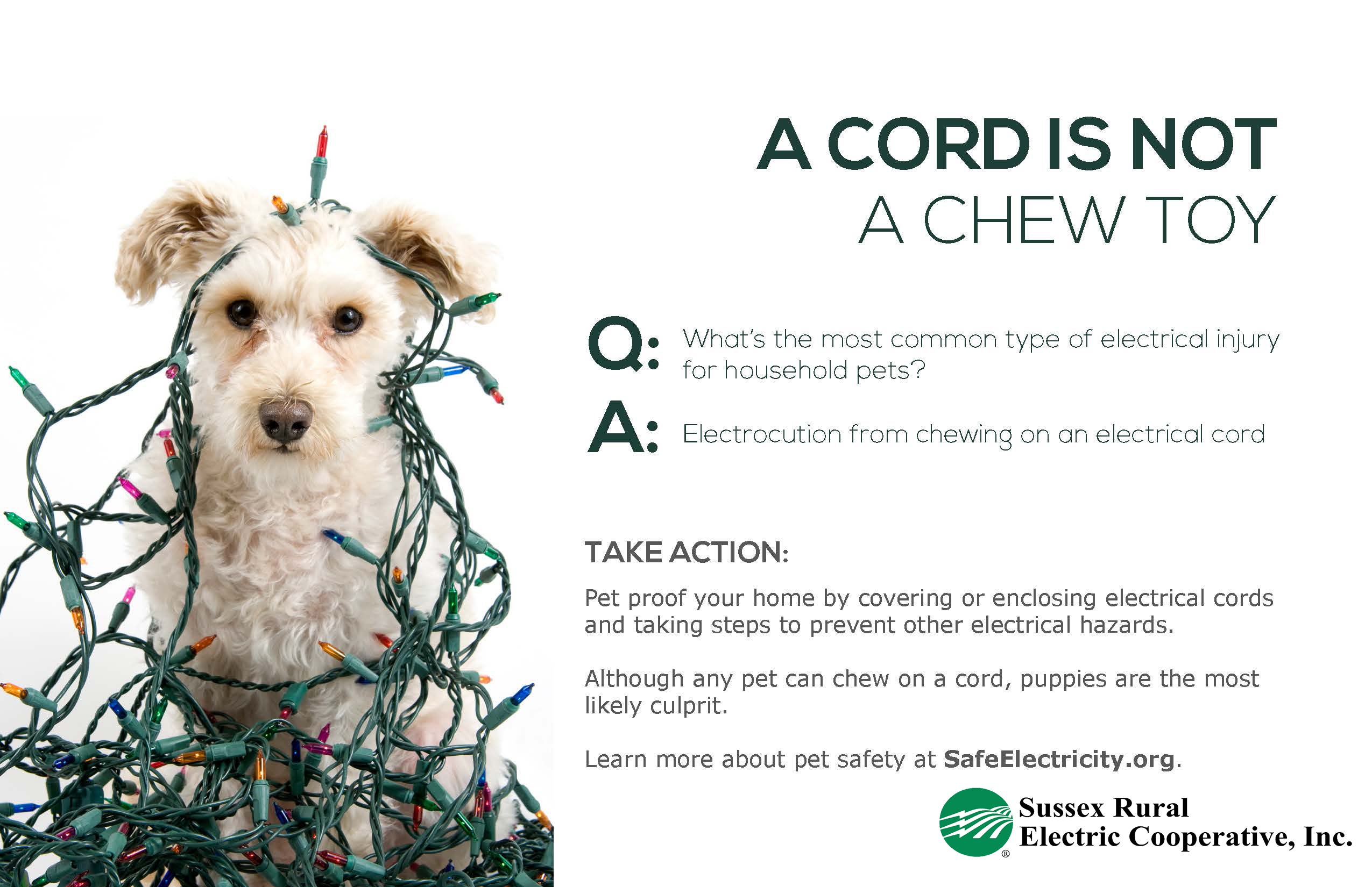 A CORD IS NOT A CHEW TOY. Q: What's the most common type of electrical injury for household pets? A: Electrocution from chewing on an electrical cord. TAKE ACTION: Pet proof your home by covering or enclosing electrical cords and taking steps to prevent other electrical hazards. Although any pet can chew on a cord, puppies are the most likely culprit. Pups can be sneaky and they may chew on an electrical cord without anyone realizing it. If you see burns in or around your pet's mouth, singed hair or whiskers around the mouth, or notice shortness of breath or other respiratory issues, seek immediate medical attention for your pet. Learn more about pet safety at: SafeElectricity.org
