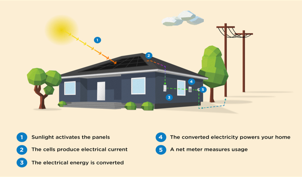 Diagram of the sun transmitting energyt into solar panels mounted on a home's rooftop, with power traveling through the house's meter to local power lines. 5 steps are detailed beneath: 1.) Sunlight activates the panels 2.) The cells produce electrical current 3.) The electrical energ is converted 4.) The converted electricity powers your home 5.) A net meter measures usage.