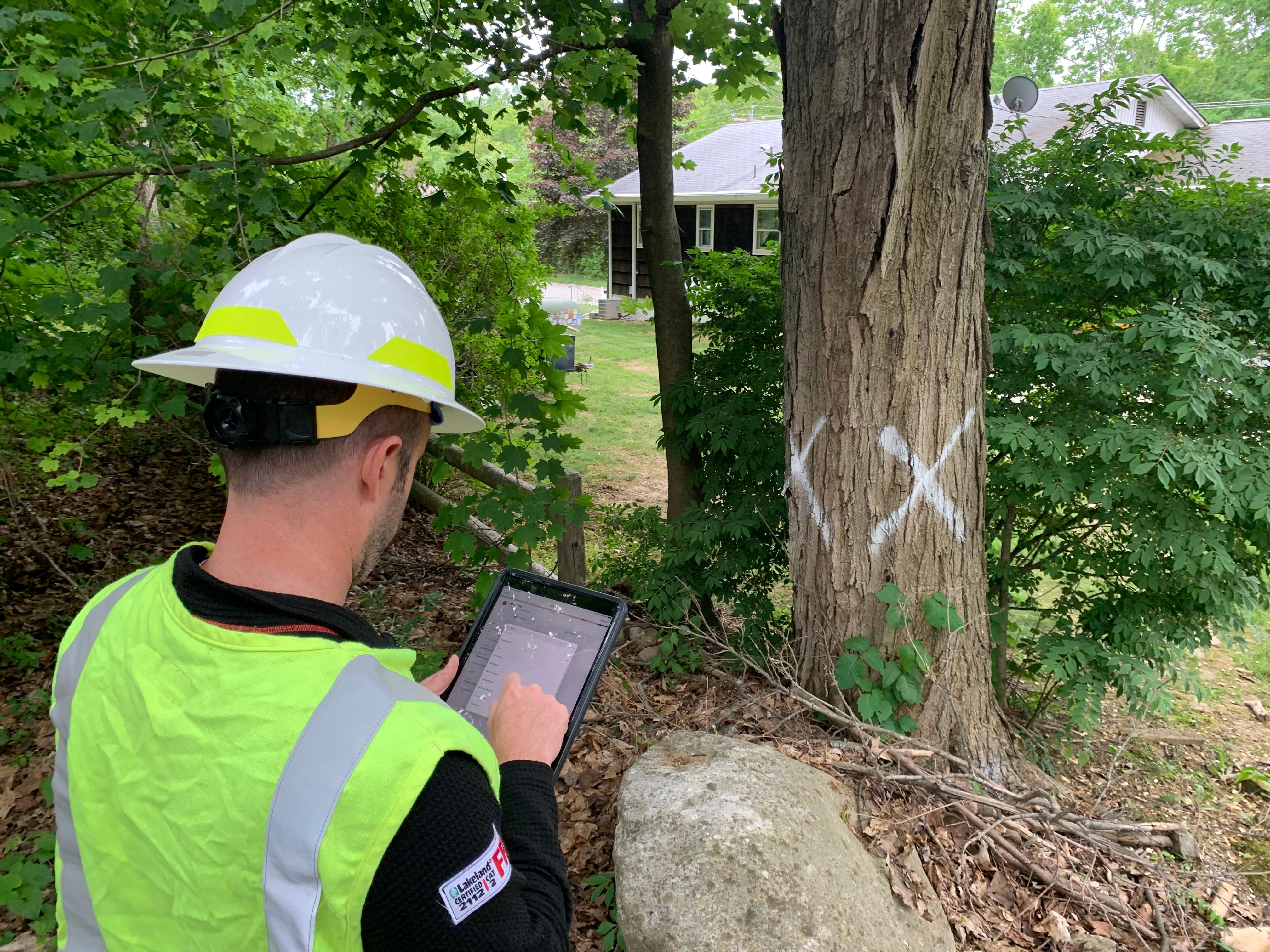 Marking hazard tree