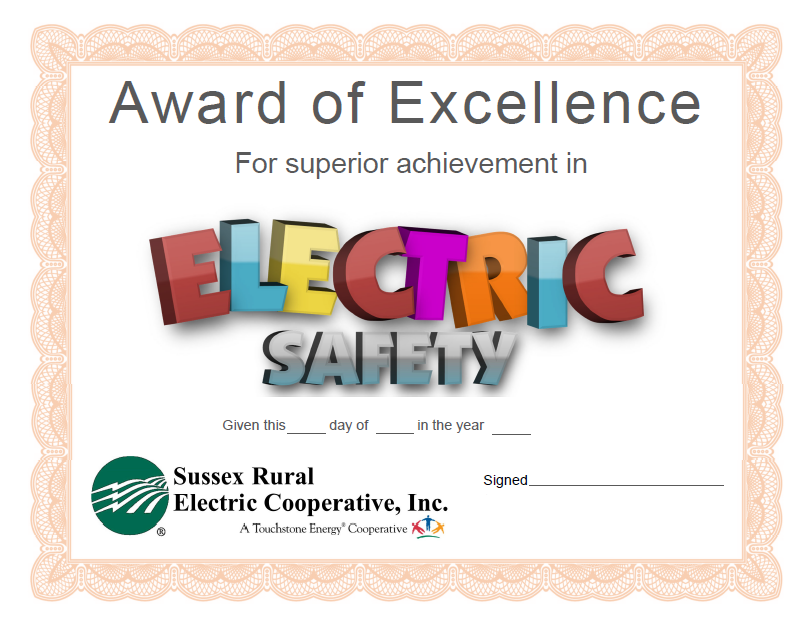 Award of Excellence in Electric Safety