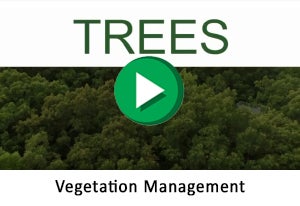 Vegetation Management